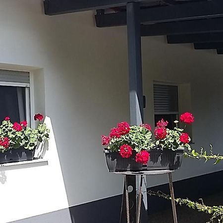 Apartma MBM Apartment Krizevci pri Ljutomeru Bagian luar foto