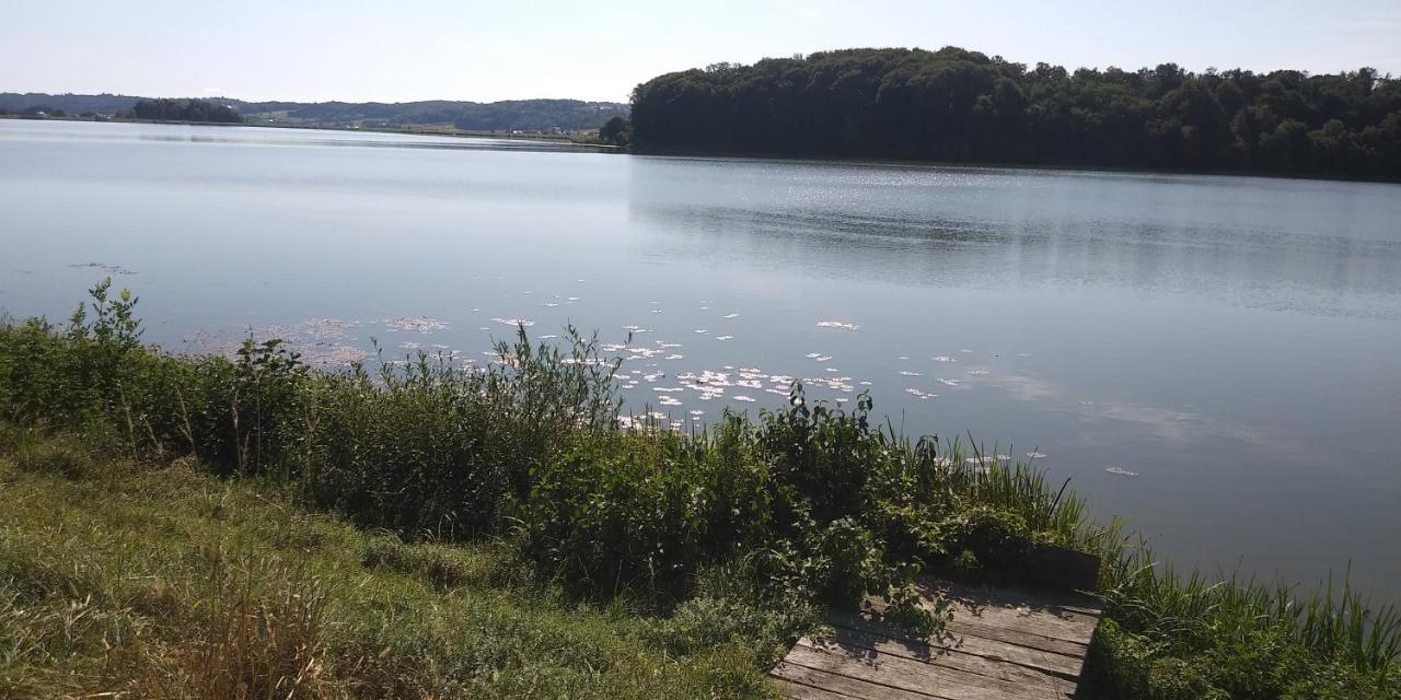 Apartma MBM Apartment Krizevci pri Ljutomeru Bagian luar foto